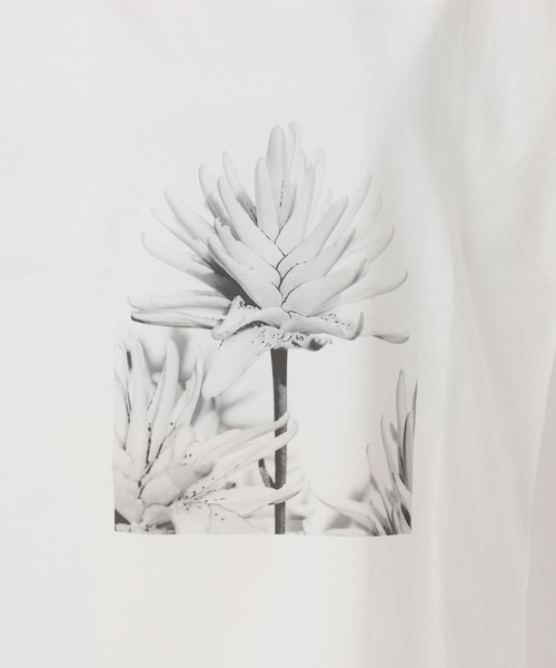 NOBLE（ノーブル） tシャツ フラワーフォトプリントT レディース