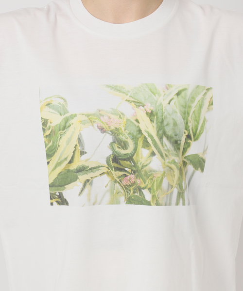 NOBLE（ノーブル） tシャツ フラワーフォトプリントT レディース