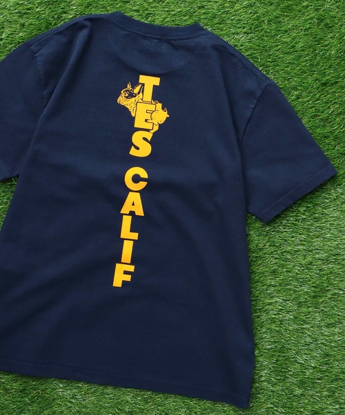 The Endless Summer（エンドレスサマー） tシャツ TES CAL FLOCK T 