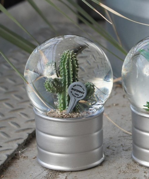 DULTON（ダルトン） インテリア PLANTS WATER GLOBE/ プランツ