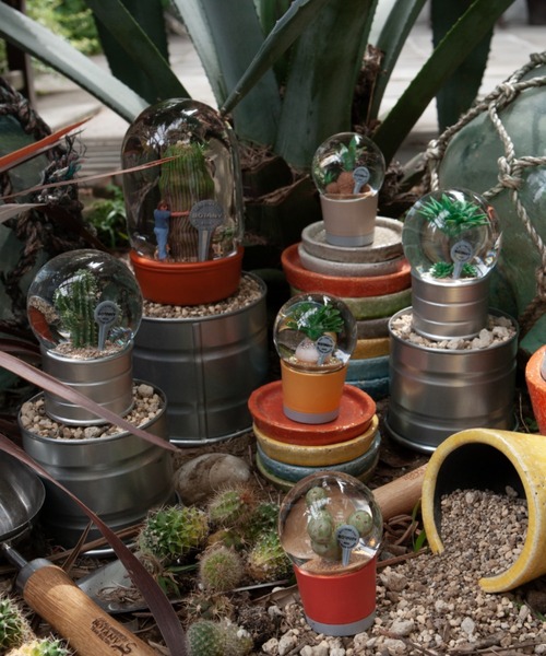 新品 未使用品 DULTON ダルトン PLANTS WATER GLOBE DULTON（ダルトン） インテリア PLANTS WATER GLOBE/ プランツ