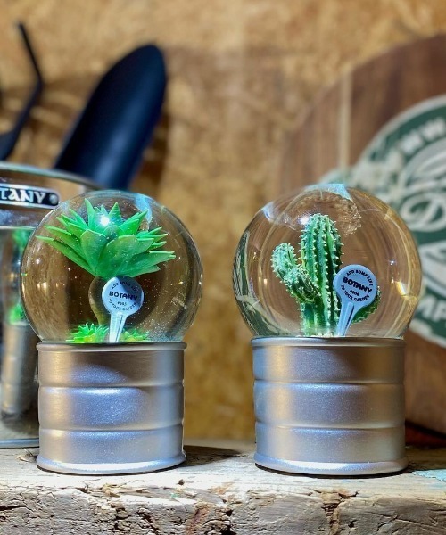 DULTON（ダルトン） インテリア PLANTS WATER GLOBE/ プランツ