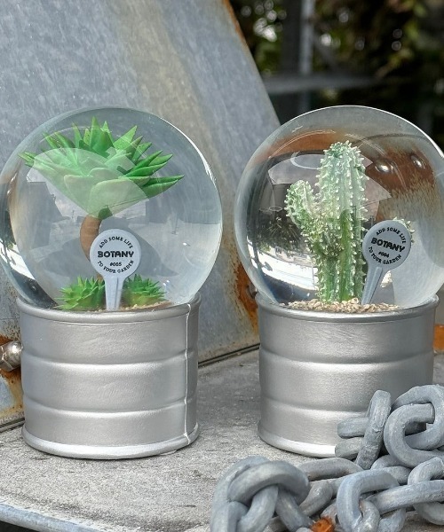 新品 DULTON プランツ ウォーターグローブ 2個セット＆小物セット DULTON（ダルトン） インテリア PLANTS WATER GLOBE/ プランツ