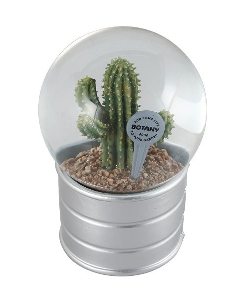 DULTON（ダルトン） インテリア PLANTS WATER GLOBE/ プランツ