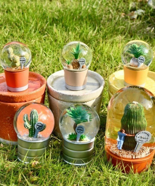 新品 未使用品 DULTON ダルトン PLANTS WATER GLOBE DULTON（ダルトン） インテリア PLANTS WATER GLOBE/ プランツ
