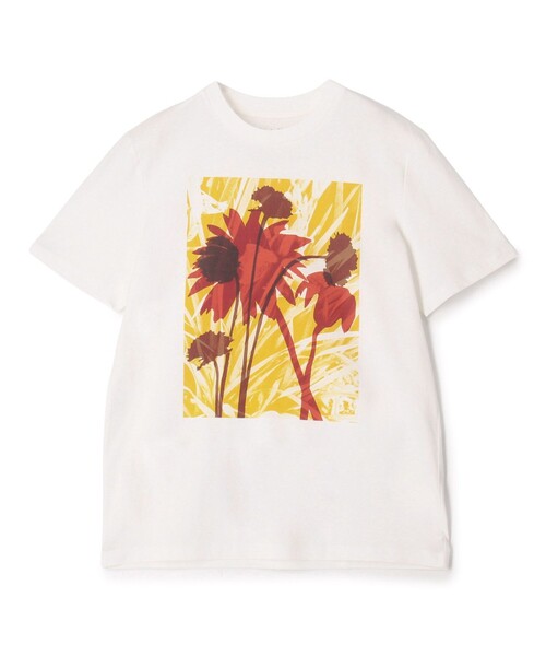 tシャツ LISA KING  SLAD VALLEY　ハーフスリーブプルオーバー レディース