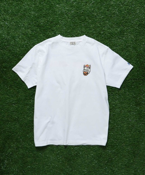 「The Endless Summer」 半袖Tシャツ MEDIUM ホワイト メンズ_画像8