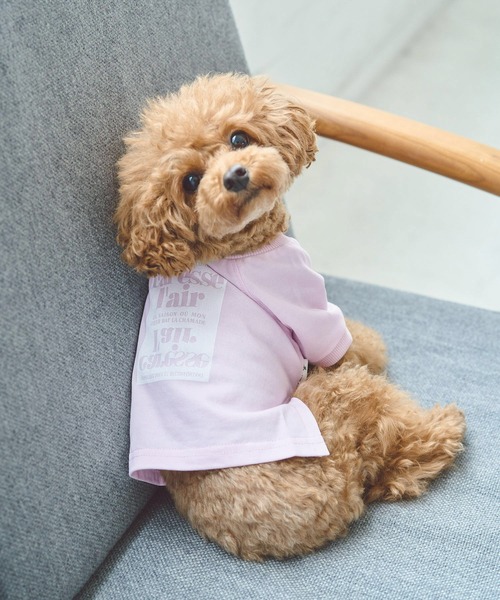 ROPE' PICNIC（ロペ ピクニック） 犬 服 「DOG」ロゴTシャツ/リンク