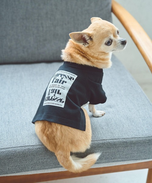 ROPE' PICNIC（ロペ ピクニック） 犬 服 「DOG」ロゴTシャツ/リンク