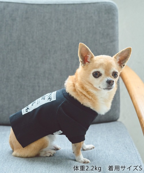 ROPE' PICNIC（ロペ ピクニック） 犬 服 「DOG」ロゴTシャツ/リンク