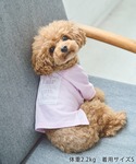 犬 服 「DOG」ロゴTシャツ/リンクコーデの詳細画像2