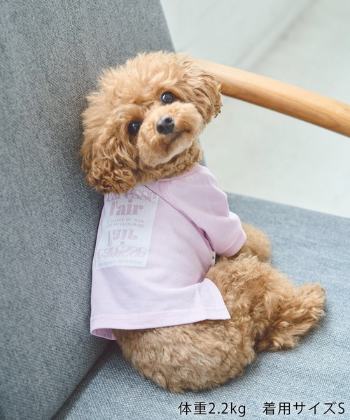 ROPE' PICNIC（ロペ ピクニック） 犬 服 「DOG」ロゴTシャツ/リンク