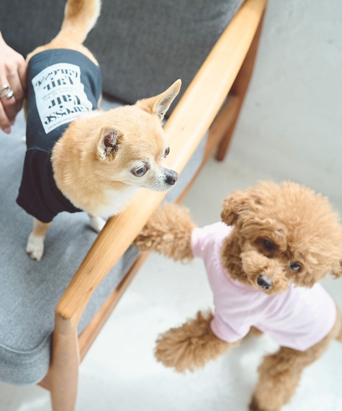 ROPE' PICNIC（ロペ ピクニック） 犬 服 「DOG」ロゴTシャツ/リンク