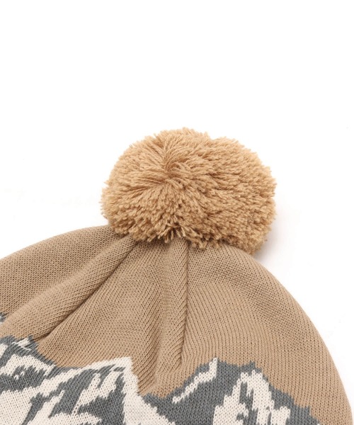 THE NORTH FACE（ザ ノースフェイス） ニット帽 ニットキャップ THE