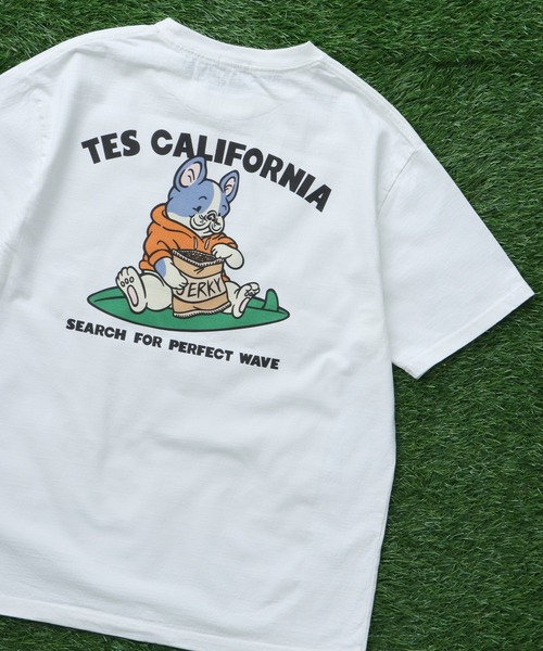 The Endless Summer（エンドレスサマー） tシャツ TES BUHI The Boo
