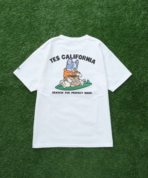 完全生産限定盤 エンドレスサマー 40th アニバーサリーBOX　Ｔシャツ付 The Endless Summer（エンドレスサマー） tシャツ TES BUHI The Boo