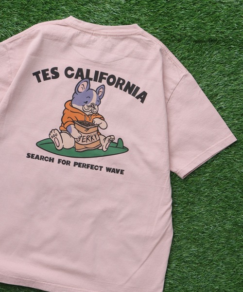 The Endless Summer（エンドレスサマー） tシャツ TES BUHI The Boo