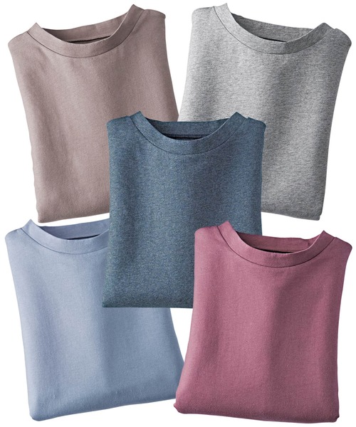 tシャツ 綿１００％抗菌防臭汗ジミ対策プルオーバー５枚組 レディース