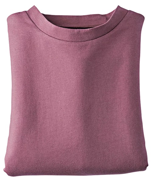 tシャツ 綿１００％抗菌防臭汗ジミ対策プルオーバー５枚組 レディース BELLUNA tシャツ 綿100％抗菌防臭汗ジミ対策プルオーバー5枚
