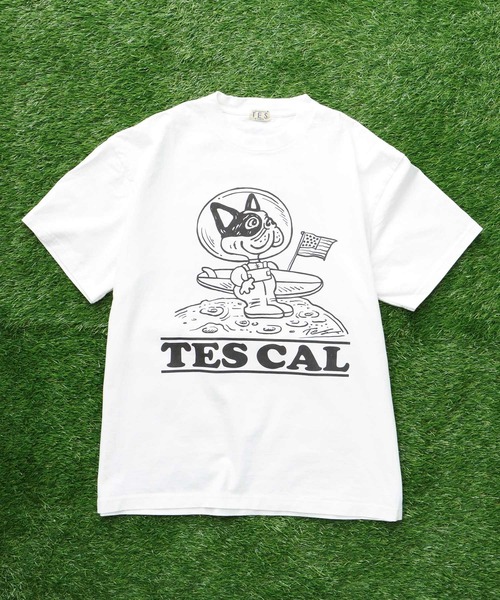 The Endless Summer（エンドレスサマー） tシャツ TES VINTAGE GRAPHIC