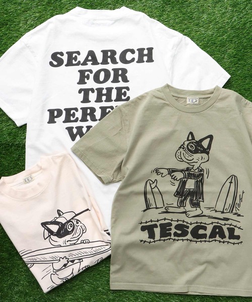 The Endless Summer tシャツ TES VINTAGE GRAPHIC T-SHIRT / T