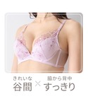 ブラジャー ショーツセット チャーミングラマー...の詳細画像4