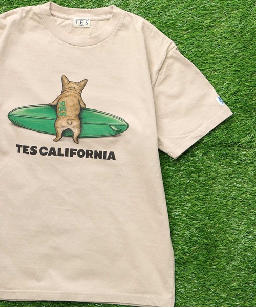 The Endless Summer tシャツ TES BUHI SURFER T-SHIRT / Tシャツ
