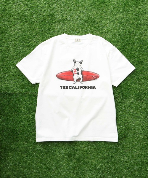 The Endless Summer tシャツ TES BUHI SURFER T-SHIRT / Tシャツ
