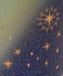 タンブラー マグカップ/極光/星空の詳細画像4