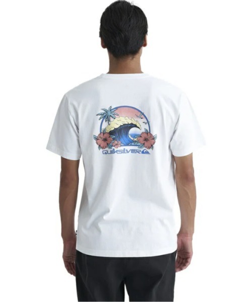 QUIKSILVER Tシャツ Quiksilver tシャツ SURFING USA ST/クイックシルバー半袖バック
