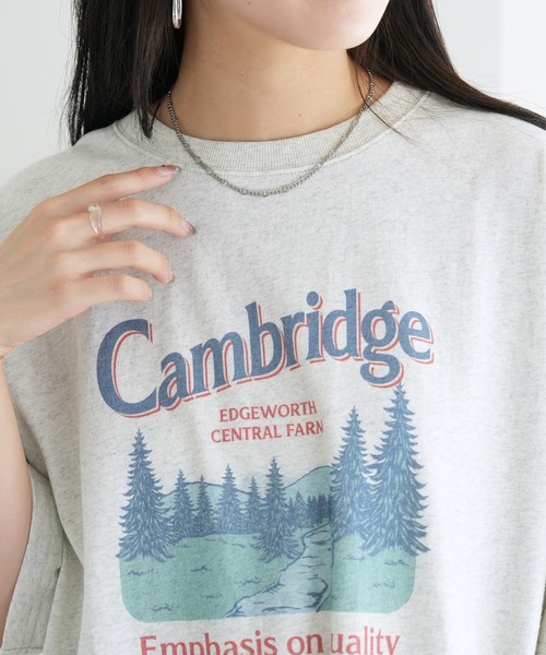 「DISCOAT」 半袖Tシャツ FREE グレー レディース_画像5