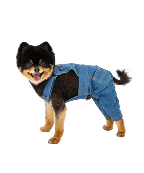 【オーダーページ】犬服　ボンバーヒート黒×ブルー花柄ツーピース MANDARINE BROTHERS（マンダリンブラザーズ） 犬 服 オーバーオール