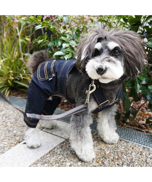 MANDARINE BROTHERS（マンダリンブラザーズ） 犬 服 オーバーオール