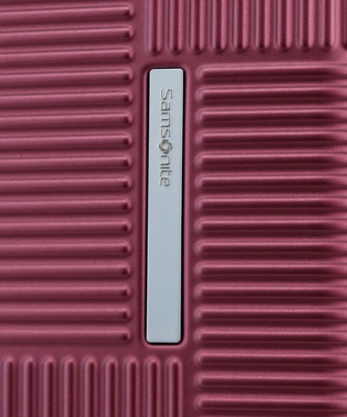 Samsonite（サムソナイト） スーツケース REXA スピナー55/20 エキス