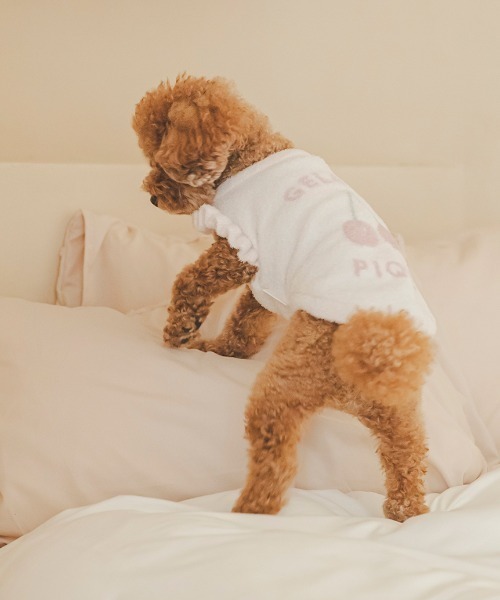 ジェラートピケ　【CAT&DOG】スムーズィーチェリージャガードプルオーバー gelato pique 犬 服 「CAT＆DOG」スムーズィーチェリー