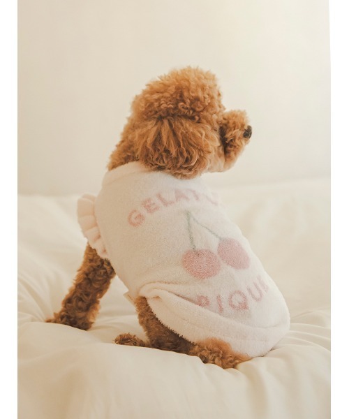 gelato pique 犬 服 「CAT＆DOG」スムーズィーチェリー