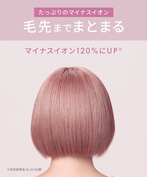 SALONIA（サロニア） グロッシーケアドライヤー 大風量 速乾