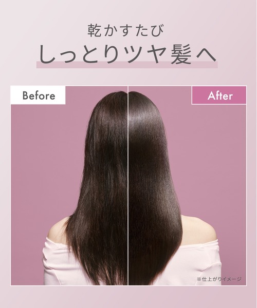 SALONIA（サロニア） グロッシーケアドライヤー 大風量 速乾