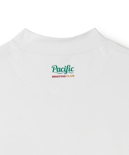 uvカット tシャツ BRIEFING × PGC MS LOGO HIGHNECK メンズの画像