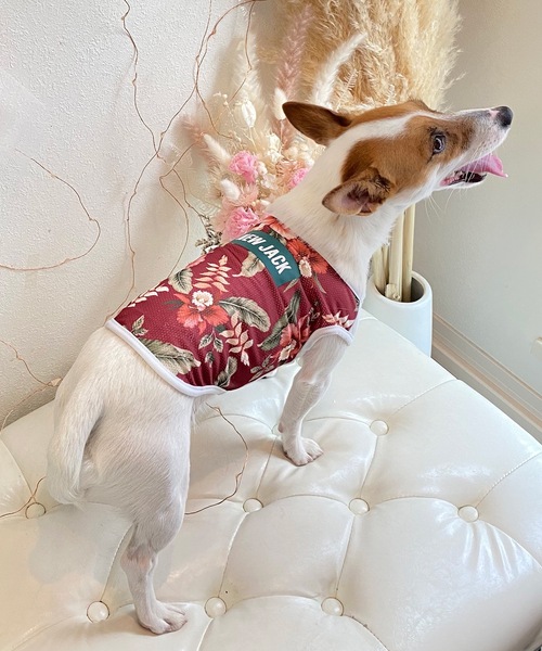 犬 服 NEWJACK アロハメッシュタンク : ZOZOTOWN Yahoo!店 - 通販