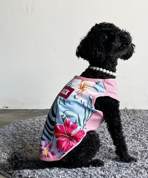 犬 服 NEWJACK アロハメッシュタンク : ZOZOTOWN Yahoo!店 - 通販