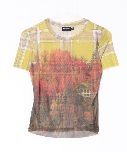 ブラウス シャツ チェックlandscape ミニ丈プリントTシャツ レディース Desigual ブラウス シャツ チェックlandscape ミニ丈プリントT