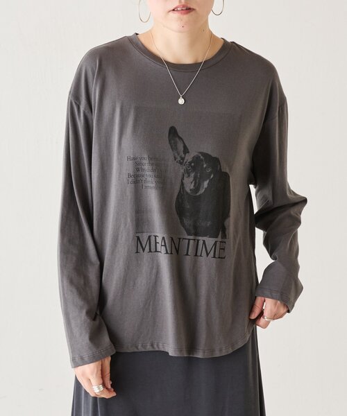 BEARDSLEY ビアズリー プリーツタックシャツ ブラック フリーサイズ BEARDSLEY（ビアズリー） tシャツ ドッグプリントロンTee「FRIPIER
