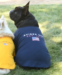 AVIREX 犬服 4枚セット 新品未使用 AVIREX（アヴィレックス） 犬 服 AVIREX/ブロックロゴTEE