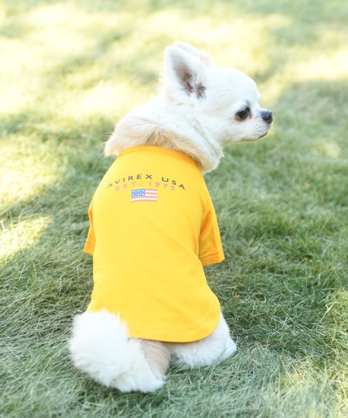 AVIREX（アヴィレックス） 犬 服 AVIREX/ブロックロゴTEE