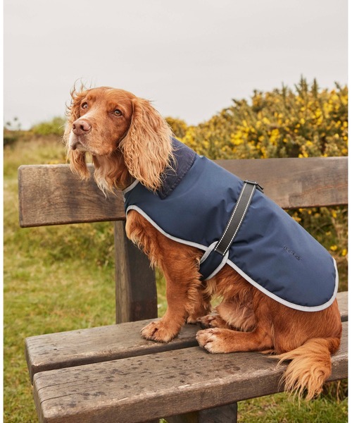 Barbour 犬 服 WPライトウェイトドッグコート : ZOZOTOWN Barbour 犬 服 WPライトウェイトドッグコート : ZOZOTOWN