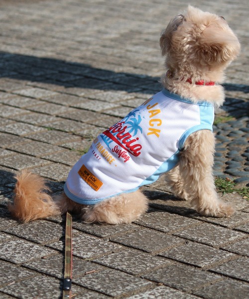 新品未使用／日本未入荷】セントジェームス 犬服 Mサイズ 万博で大人気