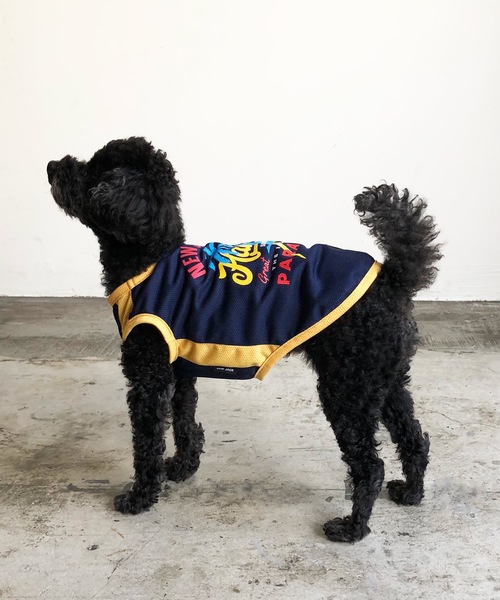 セントジェームス（ペット用品、生き物）のおすすめ人気商品一覧 通販