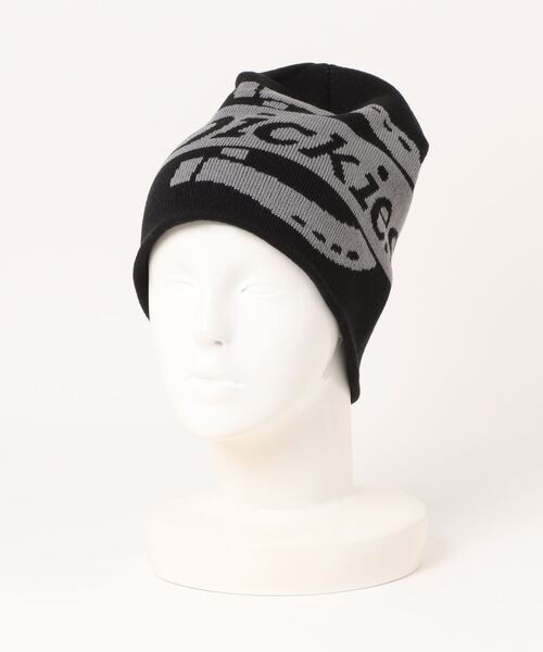 Dickies（ディッキーズ） ニット帽 ニットキャップ Dickies EX BIG