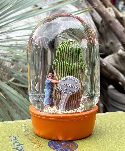 DULTON（ダルトン） インテリア PLANTS WATER GLOBE CACTUS WITH MAN